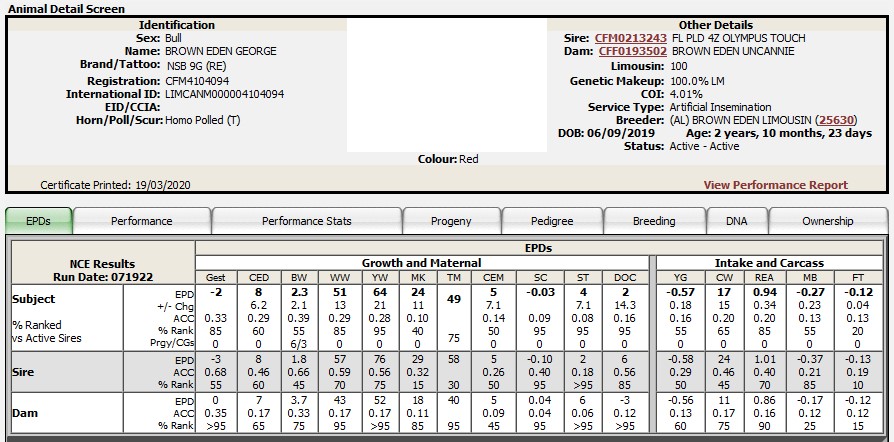 Brown Eden George Stats